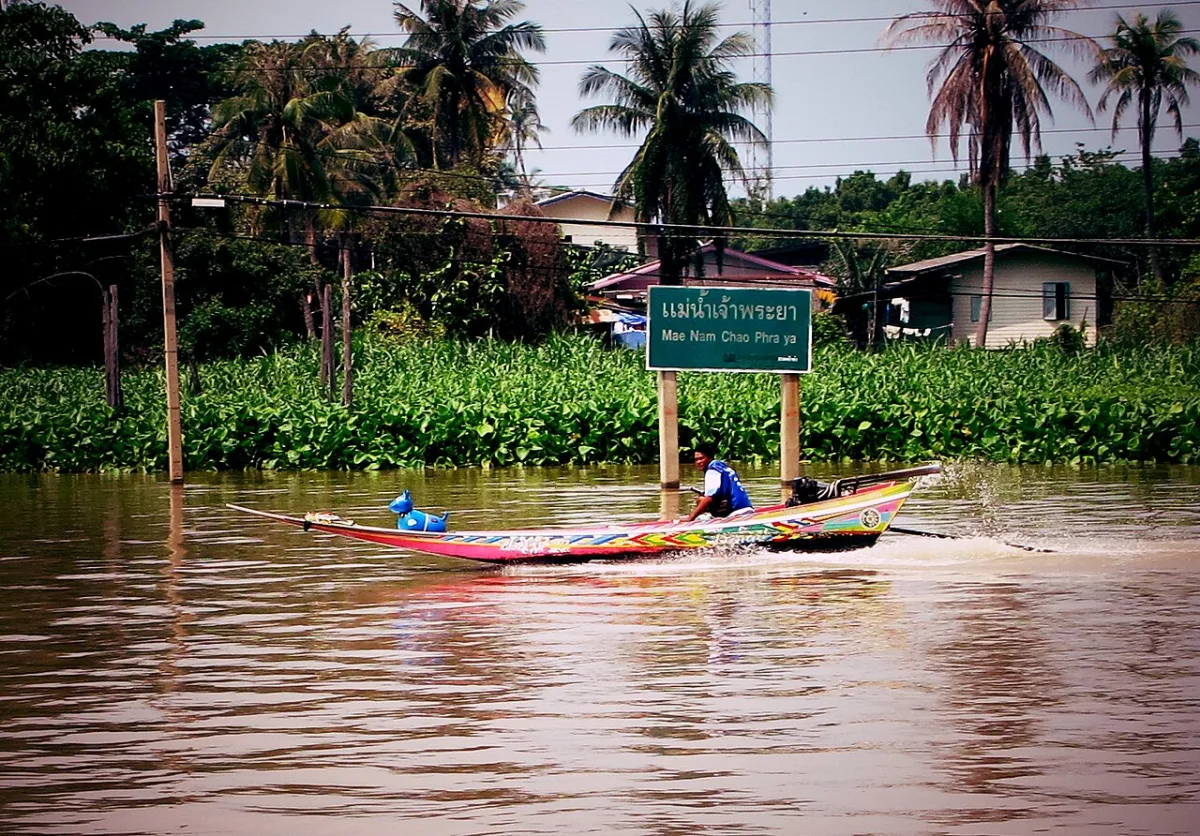 ชายพายเรือบนแม่น้ำเจ้าพระยาในจังหวัดนนทบุรี ประเทศไทย